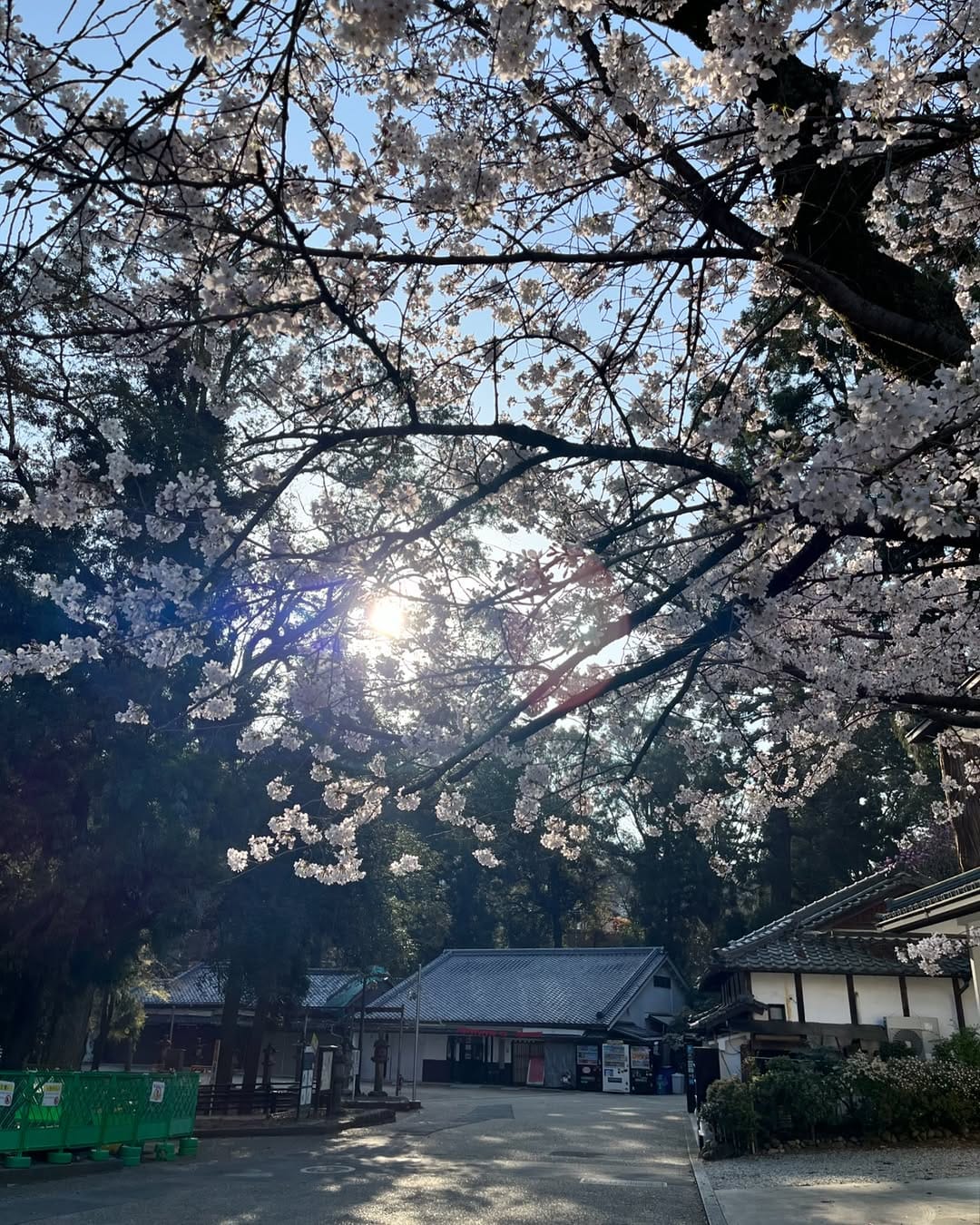 Post 5 by Kyoto Instagrammer. kobatch on Instagram (image)