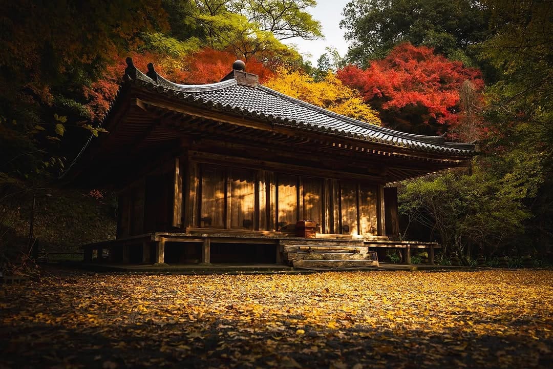 Post 5 by Nogami Kaori 野上 香織 on Instagram (carousel)