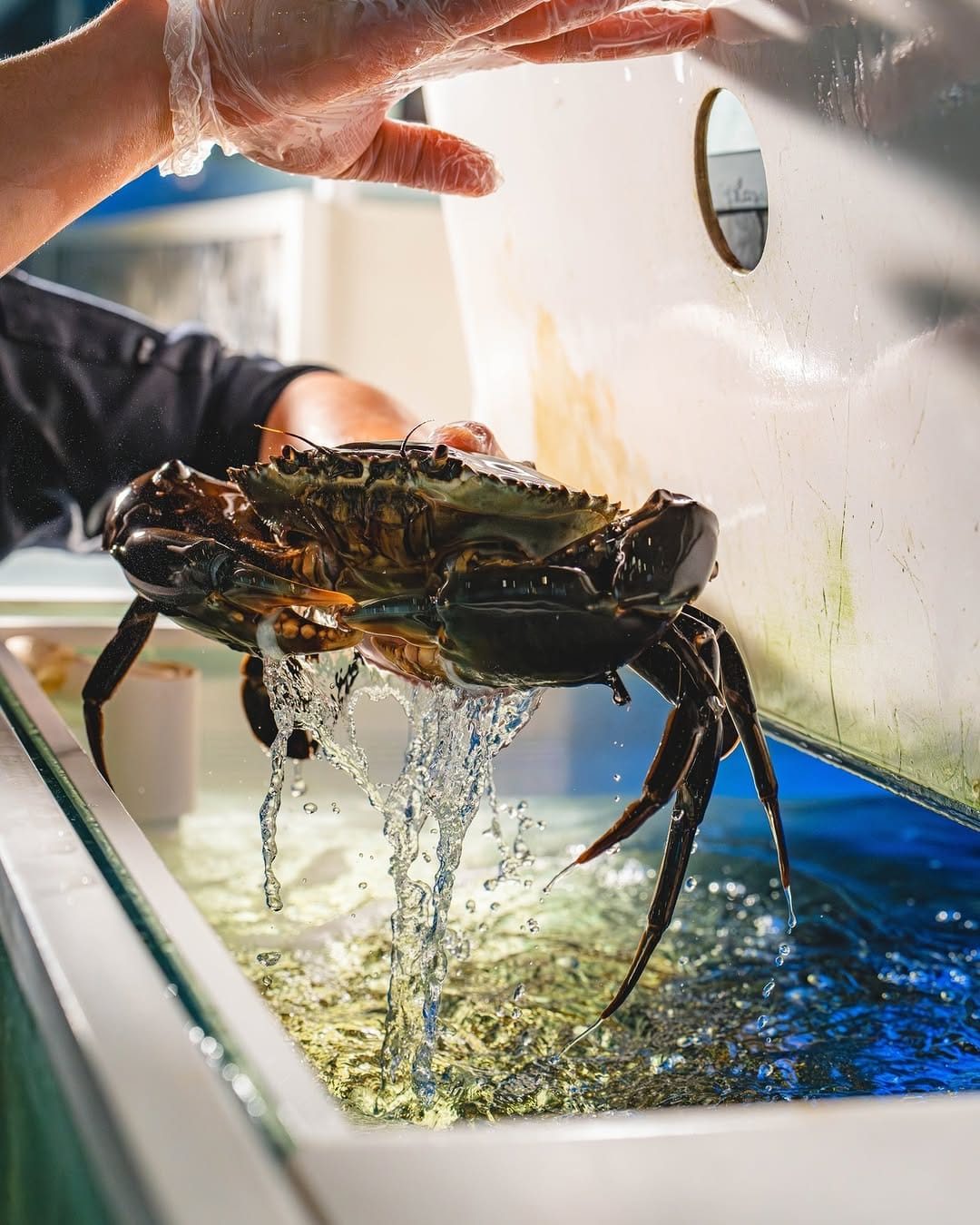 Post 2 by Seafood Market Dubai on Instagram (image)