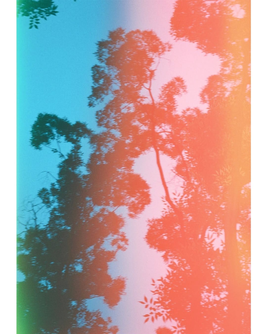 Post 5 by 松岡一哲 on Instagram (image)