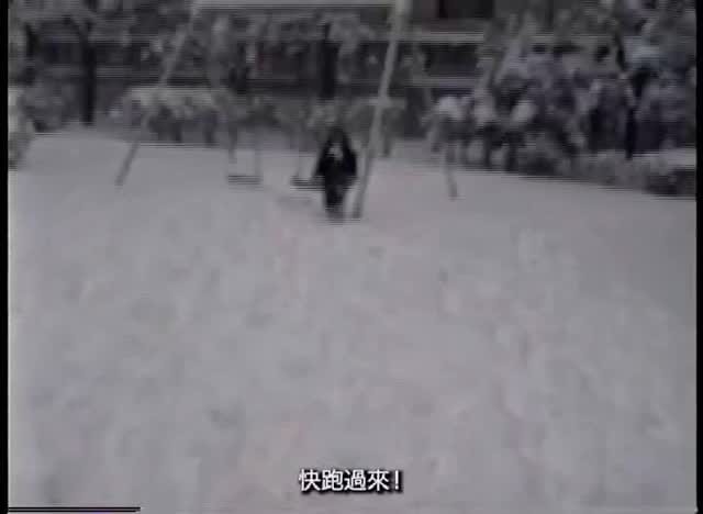 Post 1 by Yile Yang | 楊一楽 on Instagram (video)