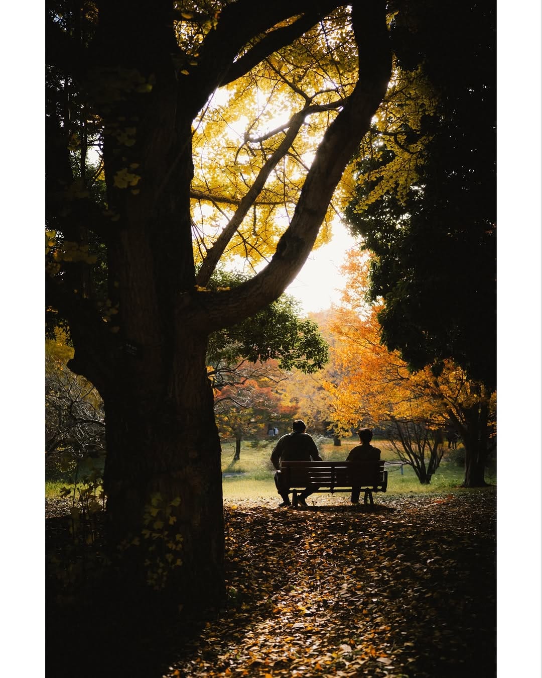 Post 7 by Motoki Endo on Instagram (carousel)