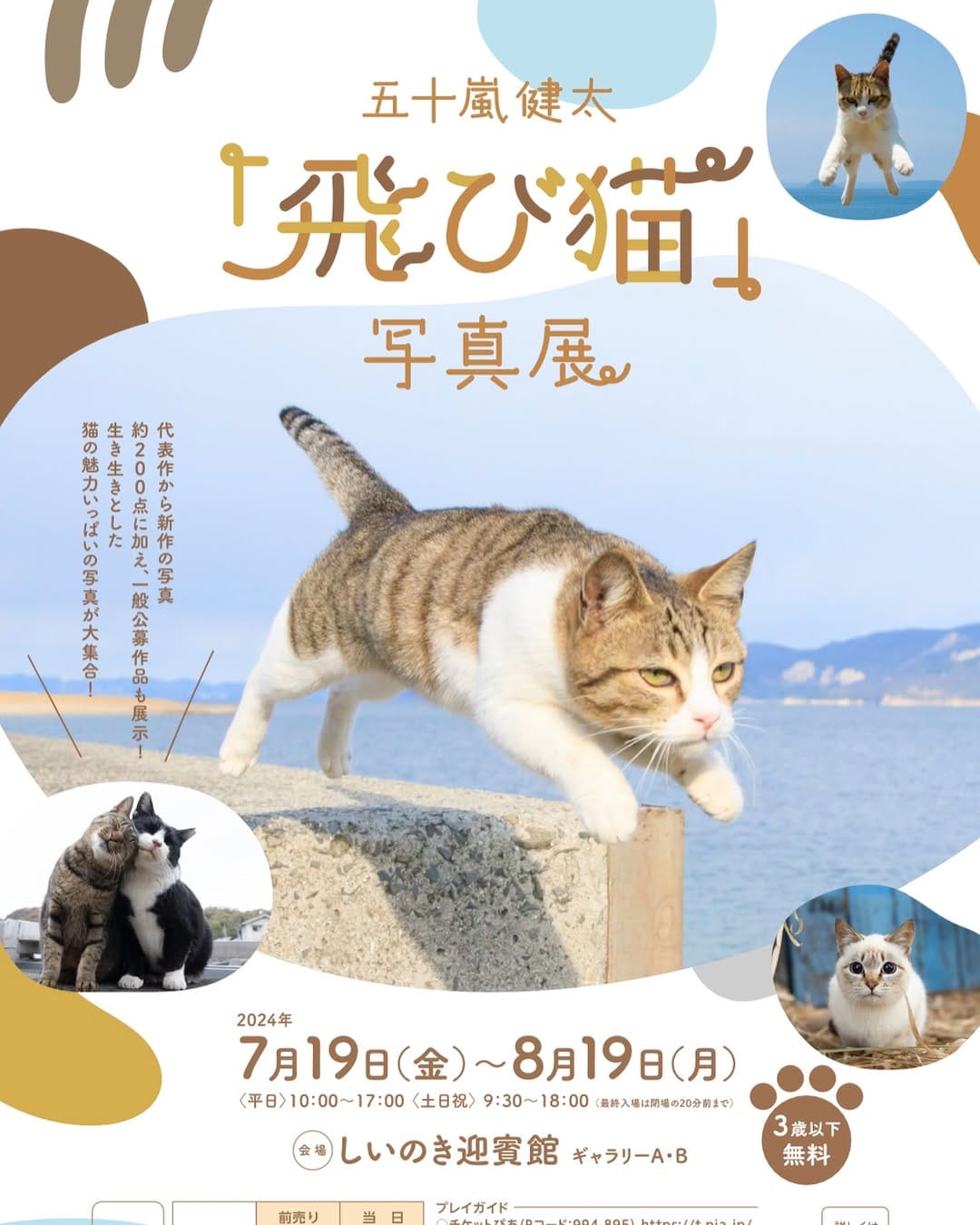 Post 9 by 五十嵐健太@飛び猫®︎ on Instagram (carousel)