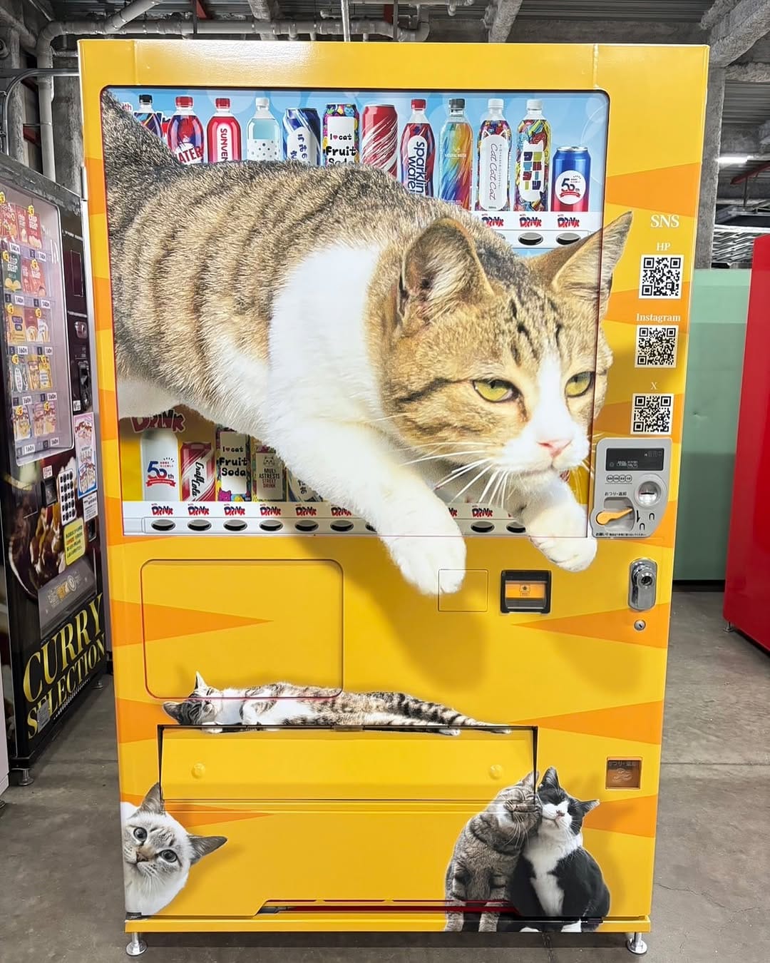 Post 8 by 五十嵐健太@飛び猫®︎ on Instagram (carousel)