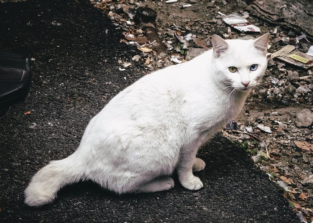 Post 9 by Masa on Instagram (image)