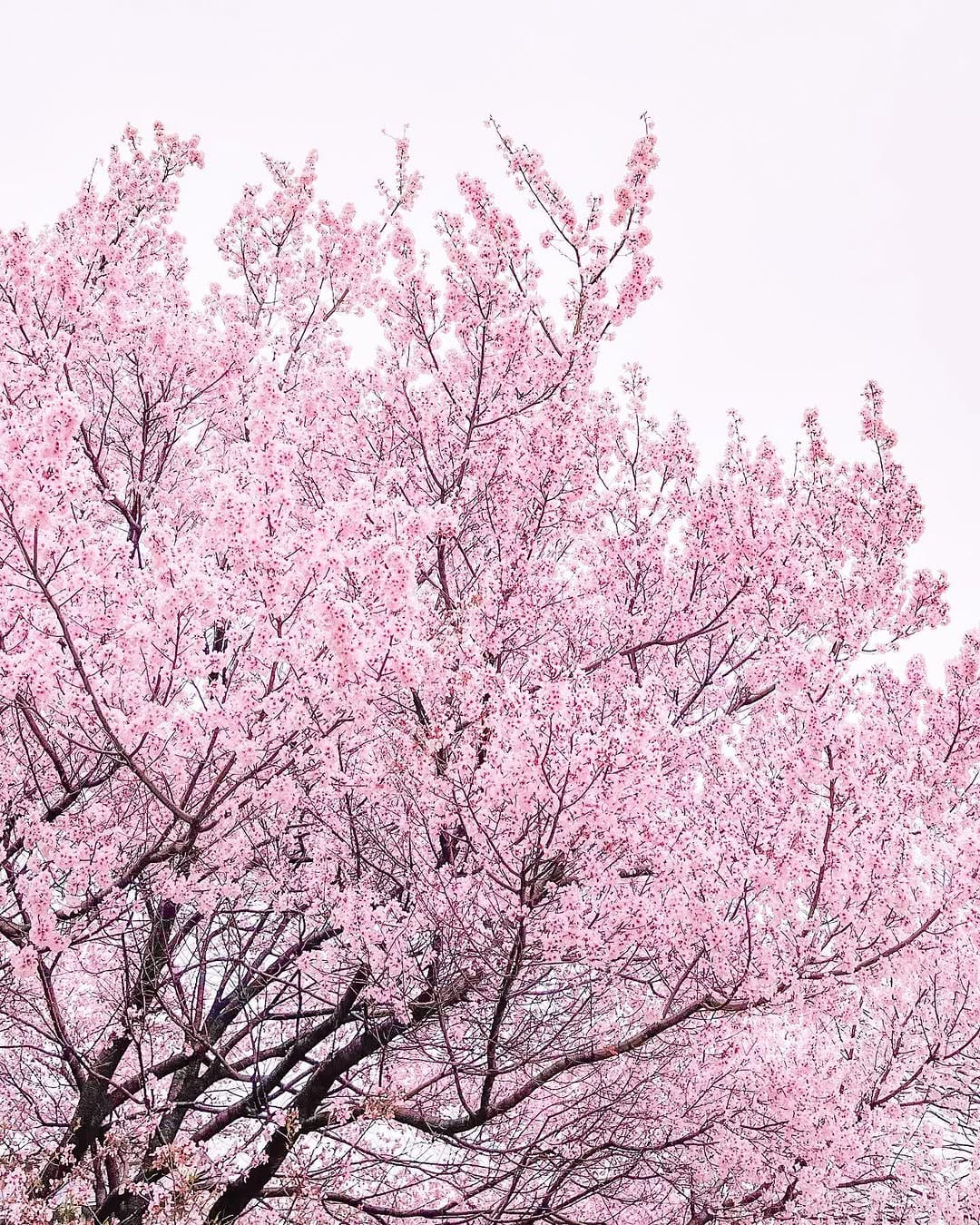 Post 3 by Masa on Instagram (image)
