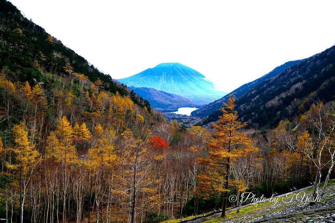 Post 2 by T.Yoshi on Instagram (image)