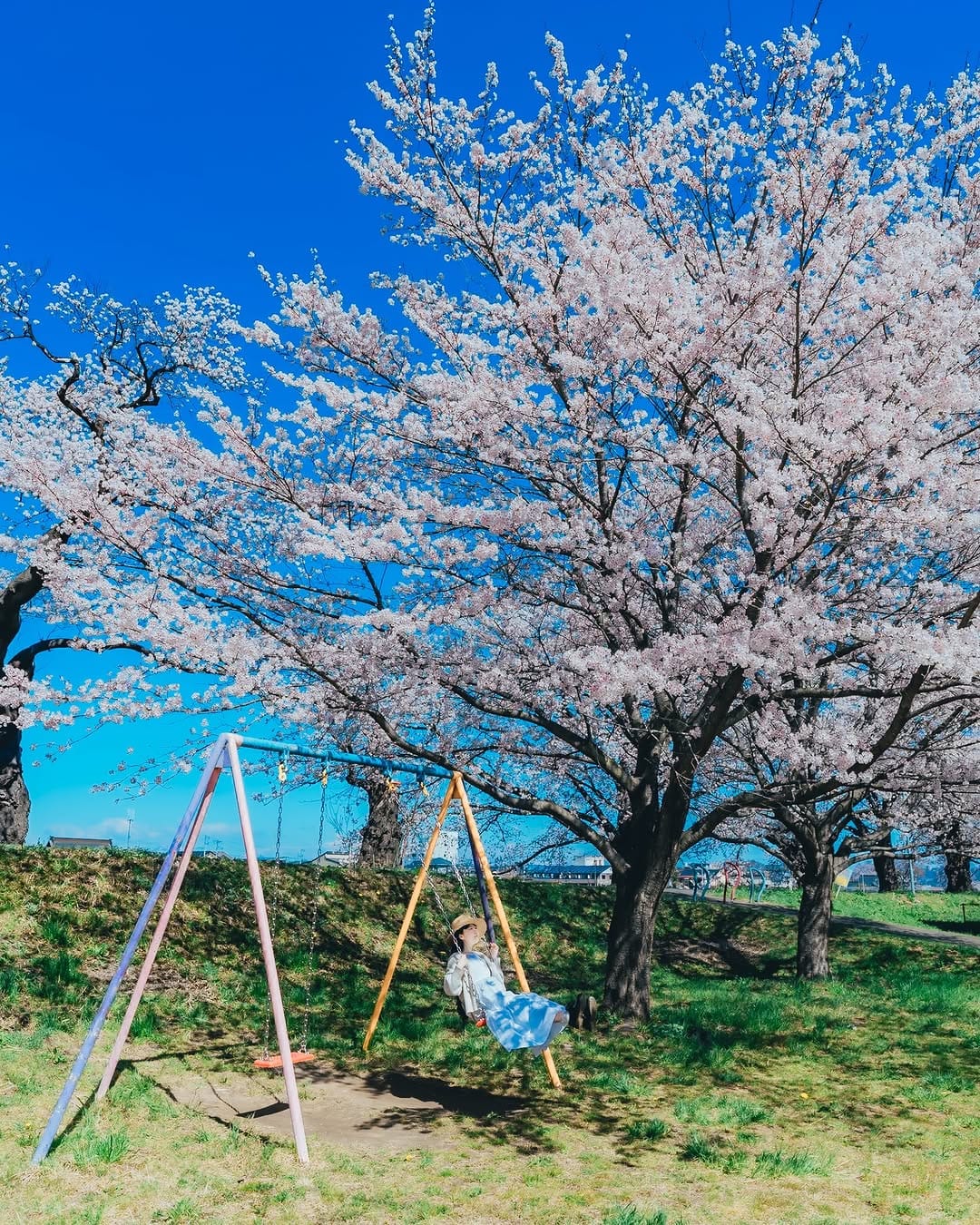 Post 6 by Shouta Endo / 遠藤　将太 on Instagram (image)