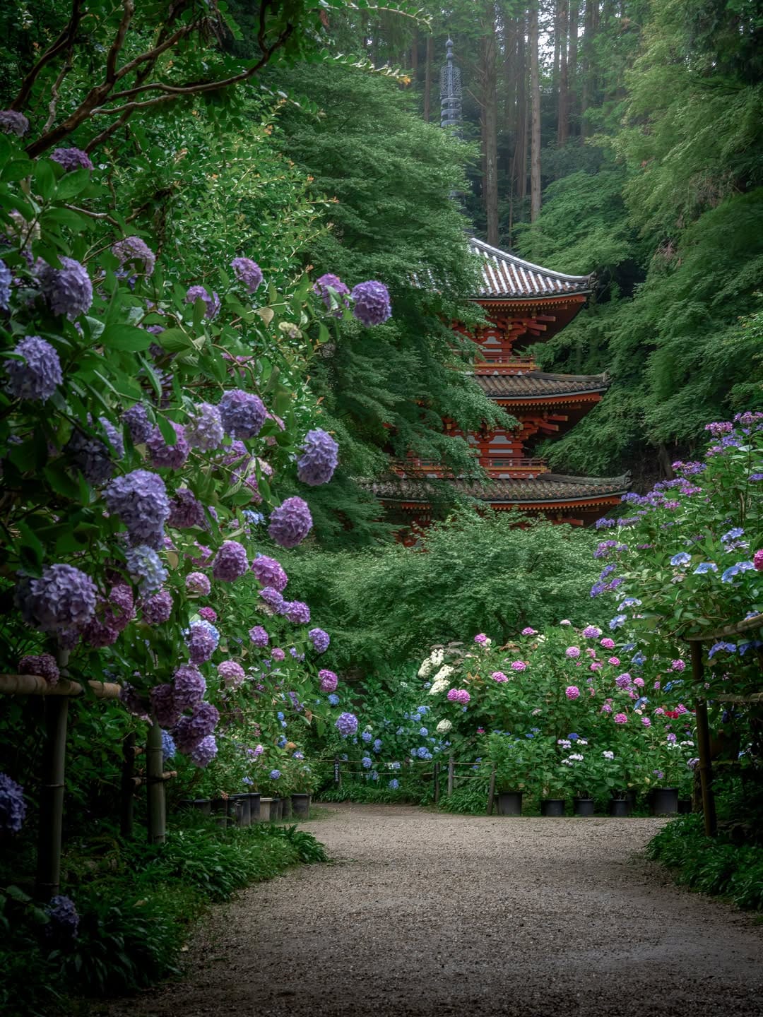 Post 7 by yoko 𓂃 𓈒𓏸❁⃘ on Instagram (image)