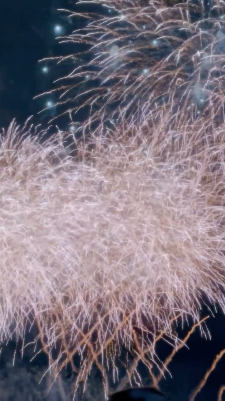 Post 4 by V I E N  T R A N ( ヴィエン トラン ) on Instagram (video)