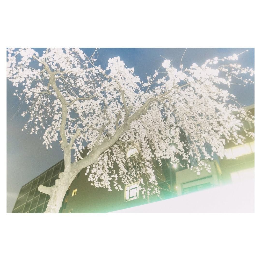 Post 5 by V I E N  T R A N ( ヴィエン トラン ) on Instagram (image)