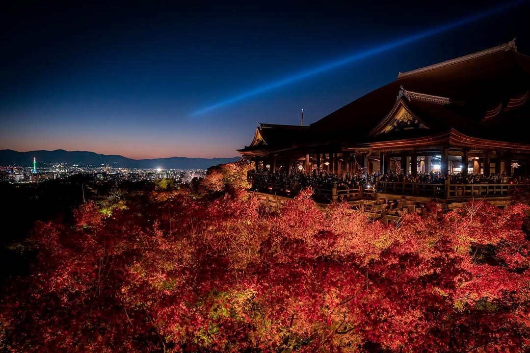 Post 10 by IP🇯🇵 on Instagram (carousel)
