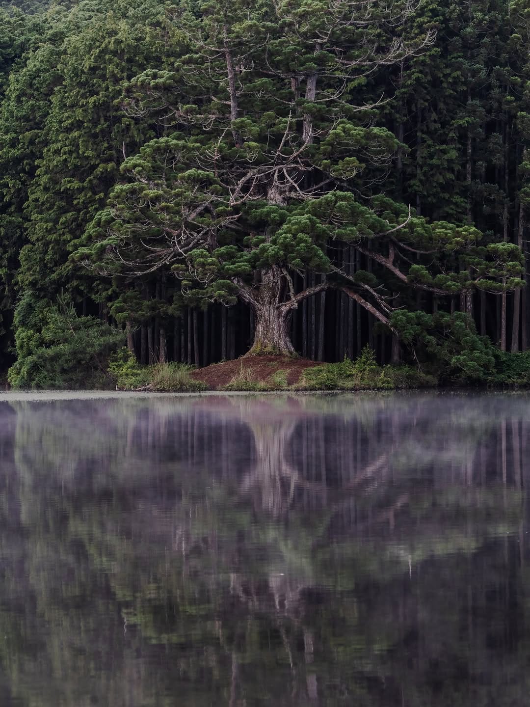 Post 6 by IP🇯🇵 on Instagram (image)