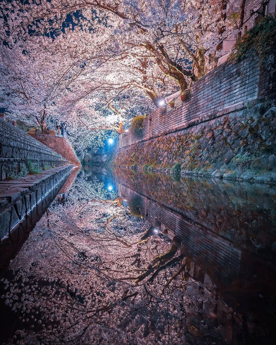 Post 8 by IP🇯🇵 on Instagram (image)