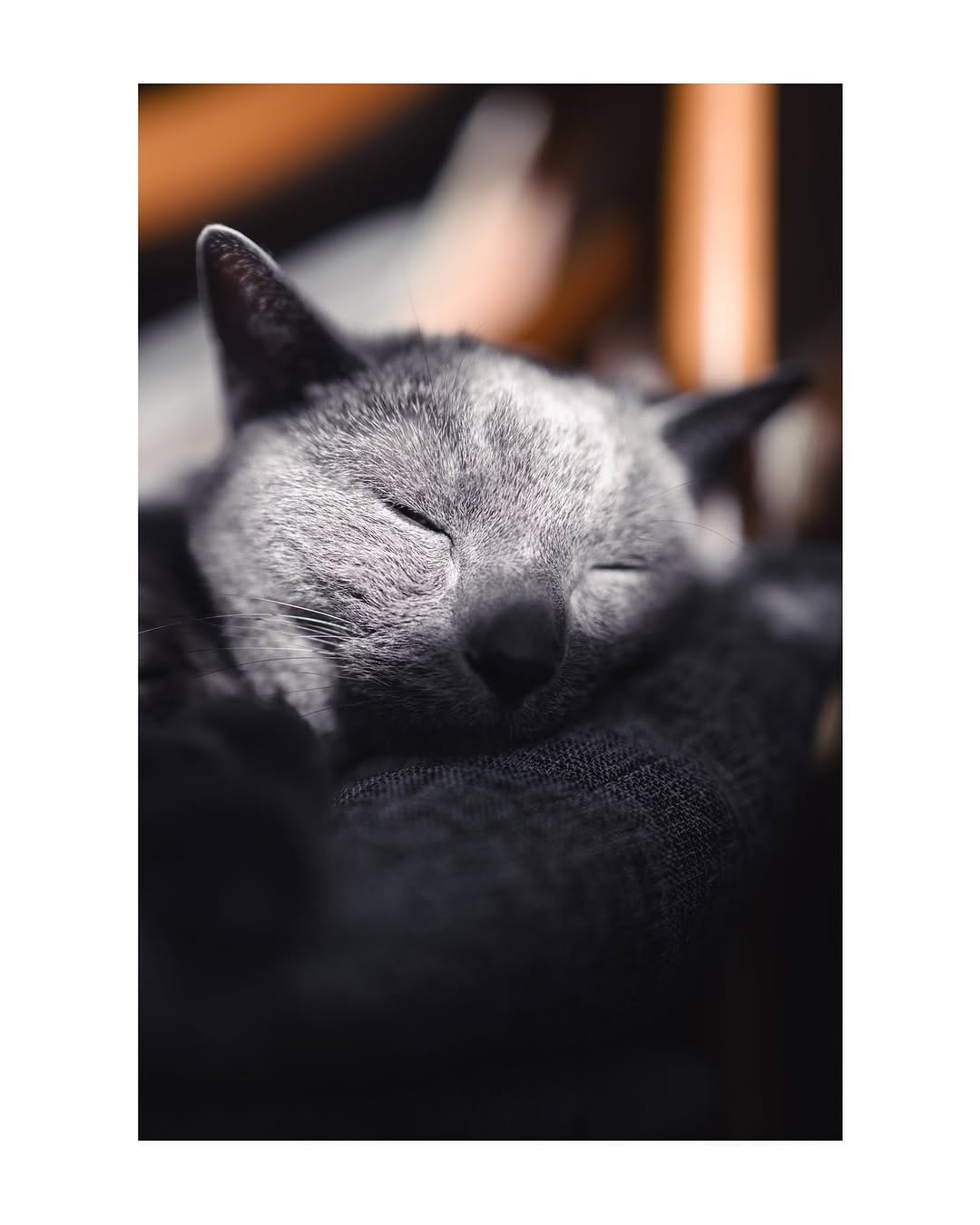 Post 10 by tera on Instagram (image)