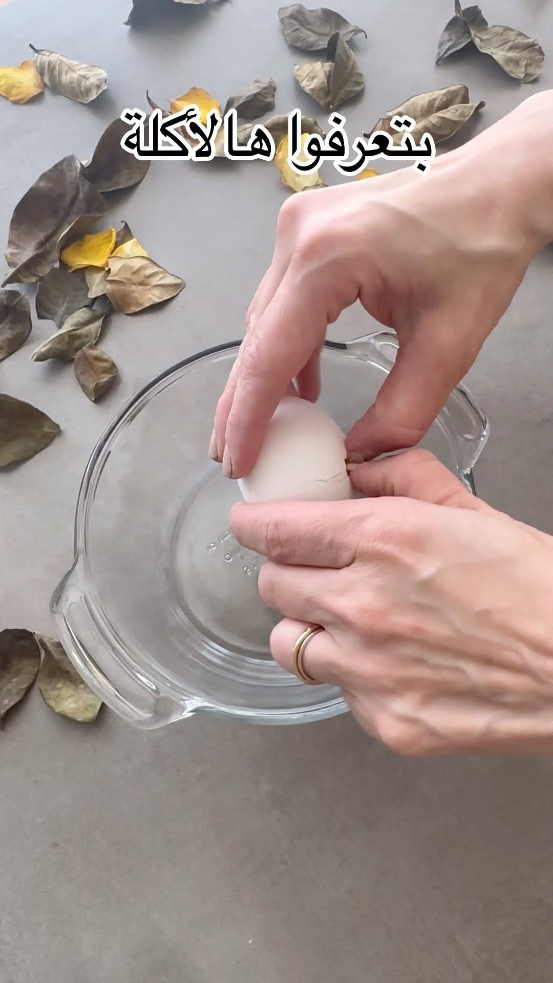 Post 9 by Ramia Hamed, راميا حامد on Instagram (video)
