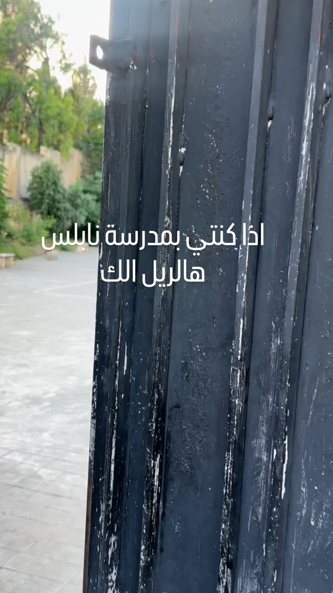 Post 6 by Ramia Hamed, راميا حامد on Instagram (video)