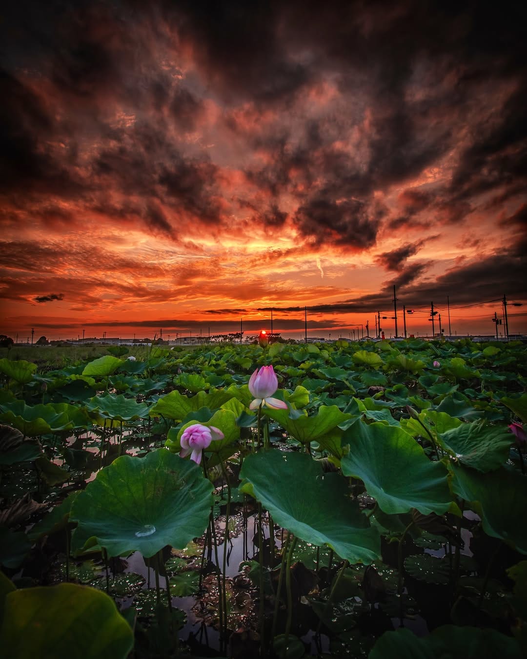 Post 4 by 古き良き日本 on Instagram (image)