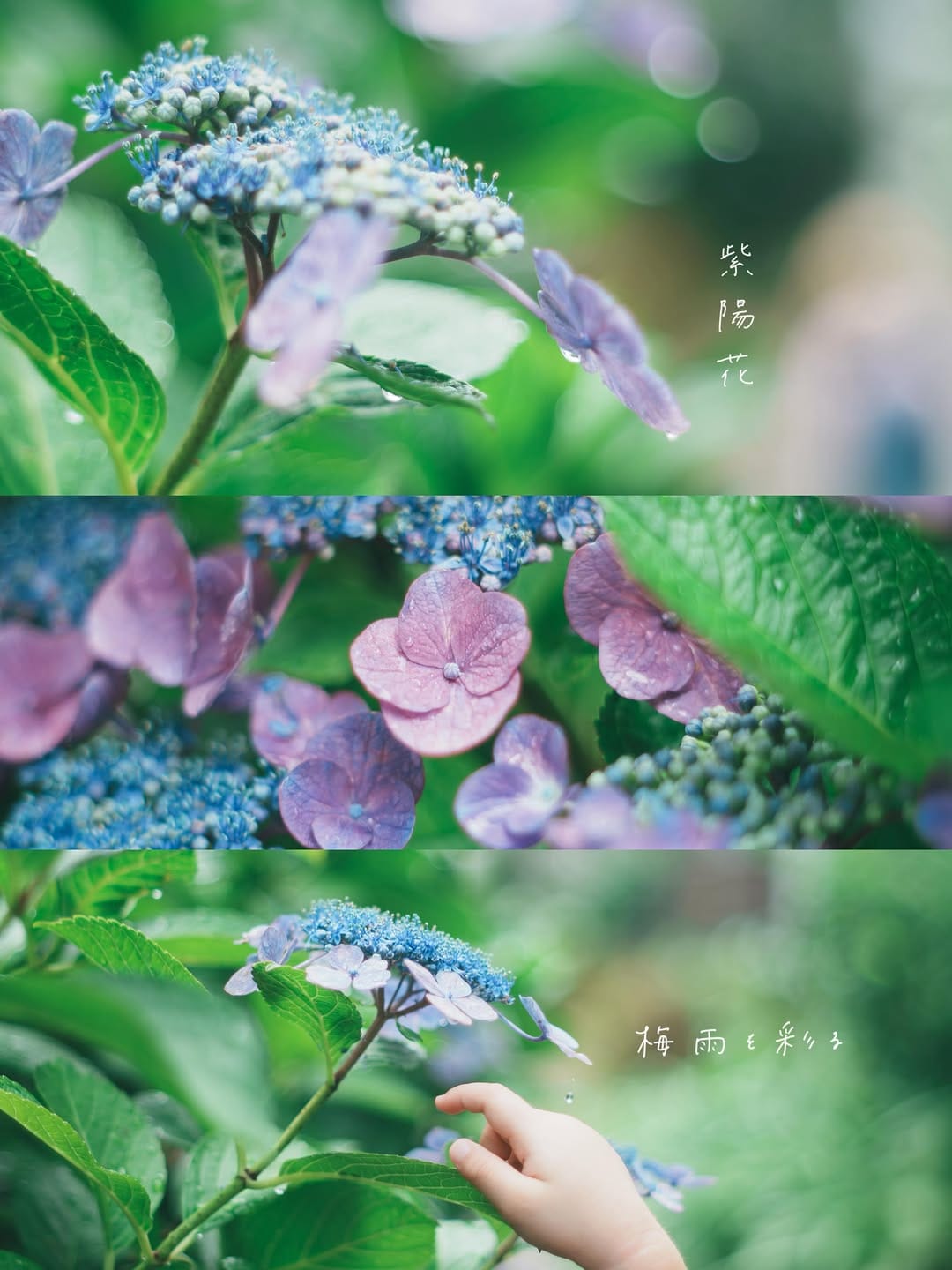 Post 6 by なつまる on Instagram (carousel)