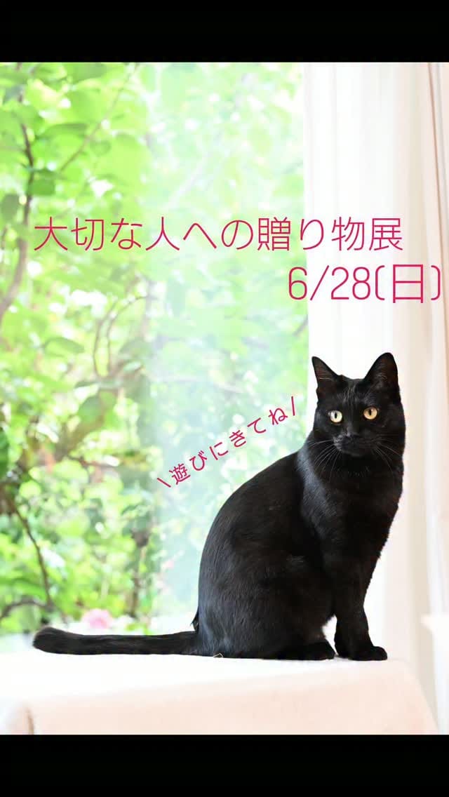 Post 4 by Kuroka on Instagram (video)