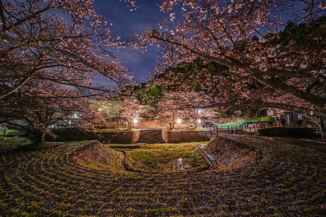 Post 5 by 平山勇作 on Instagram (image)