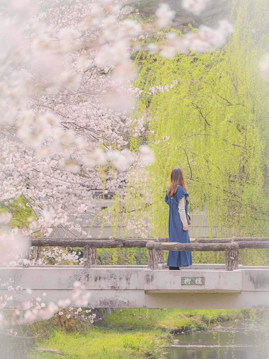 Post 6 by 平山勇作 on Instagram (image)