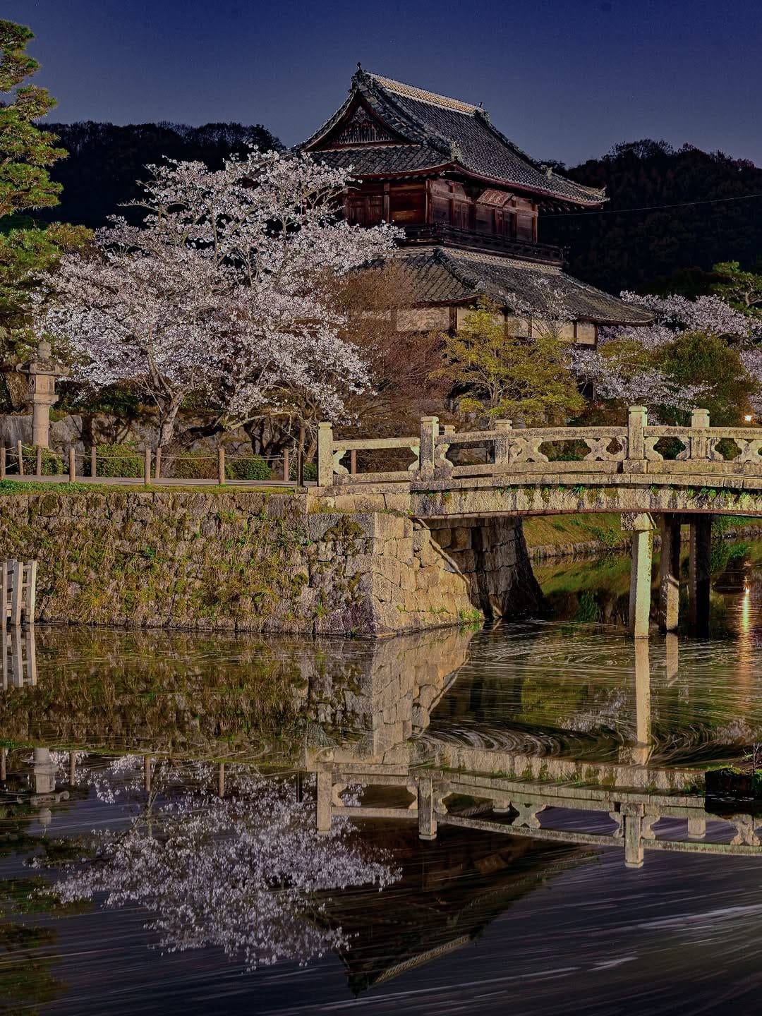Post 4 by 平山勇作 on Instagram (image)