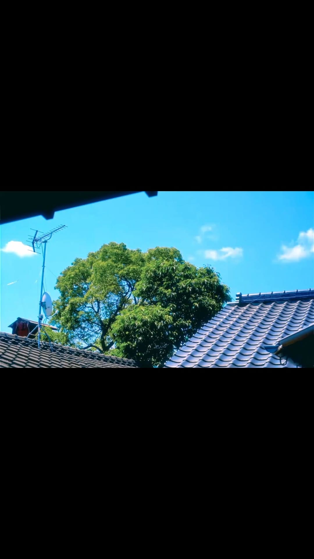 Post 3 by tsunekawa on Instagram (video)