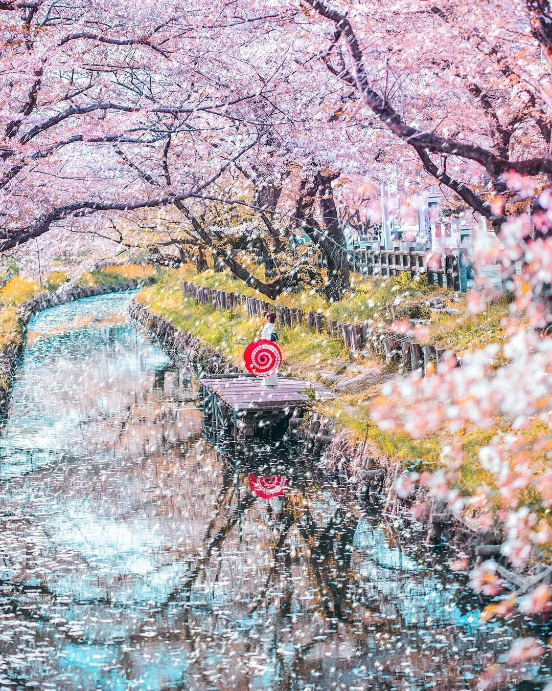 Post 1 by 長谷川 誠一 on Instagram (carousel)