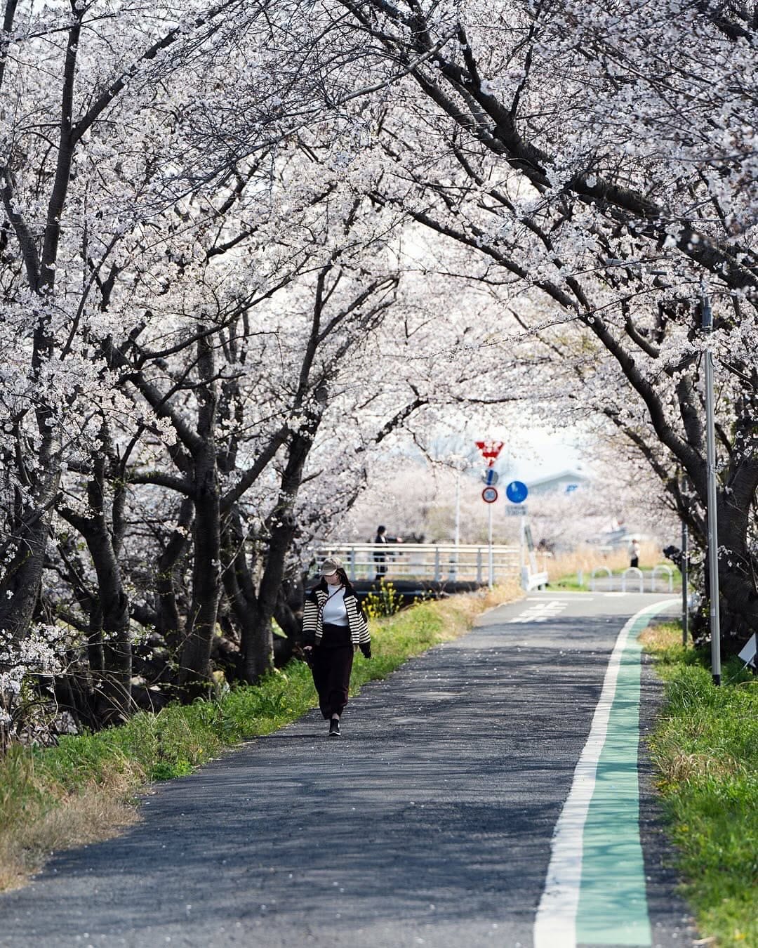 Post 1 by Kyoto Camera Ishida 📸🇯🇵 on Instagram (carousel)