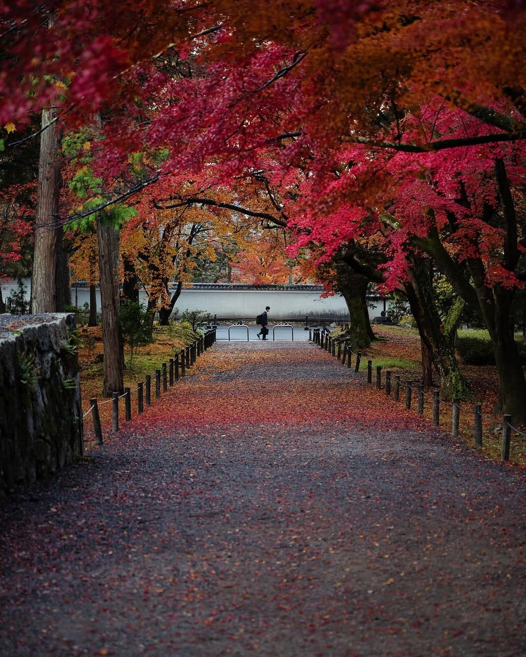 Post 5 by Kyoto Camera Ishida 📸🇯🇵 on Instagram (carousel)