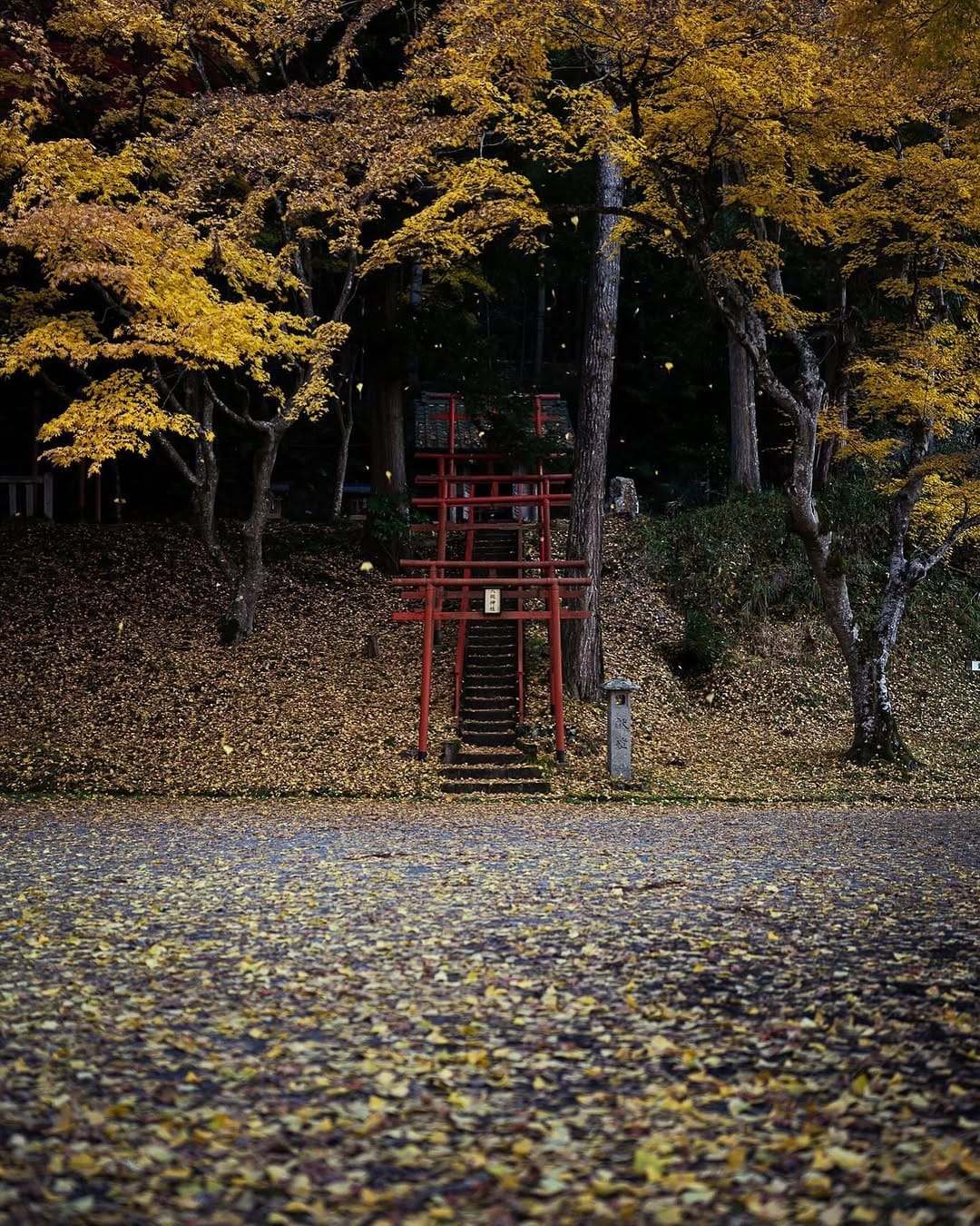 Post 6 by Kyoto Camera Ishida 📸🇯🇵 on Instagram (carousel)