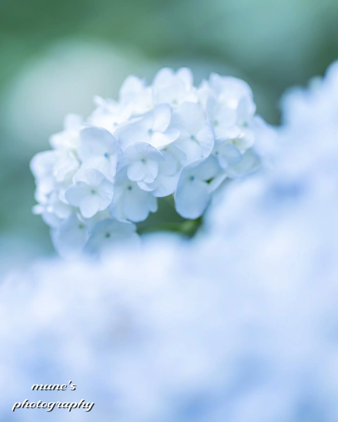 Post 4 by むね on Instagram (image)