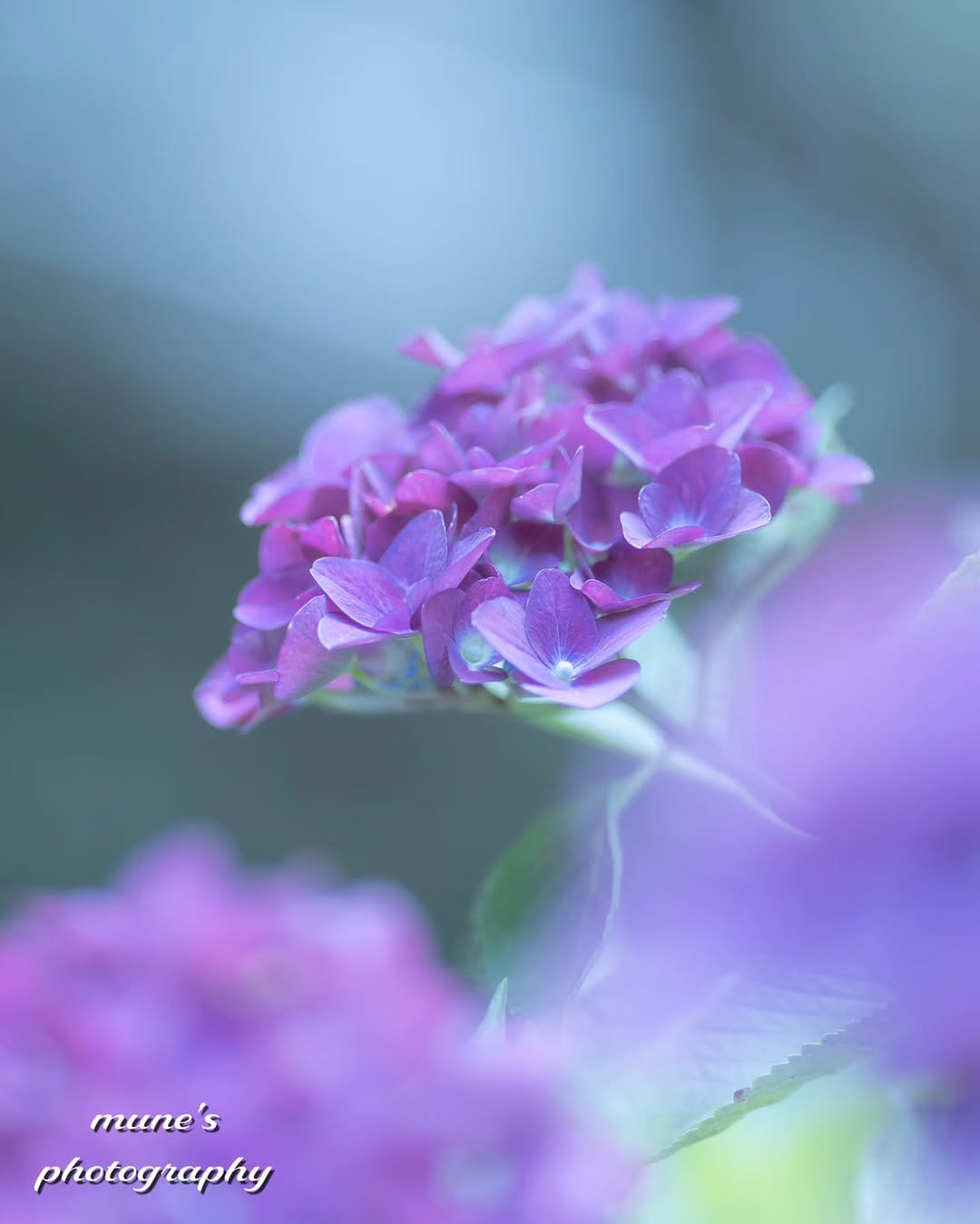 Post 2 by むね on Instagram (image)