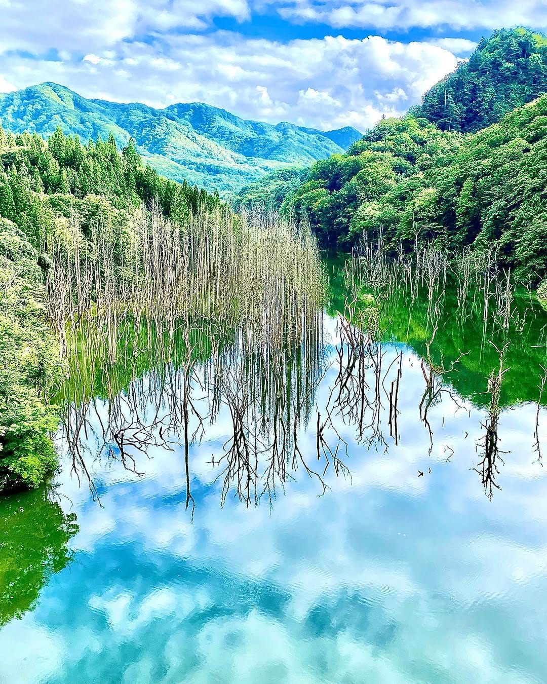 Post 1 by 𝔸𝔹𝕀ℕ 🇯🇵朴なる東北の人 on Instagram (image)