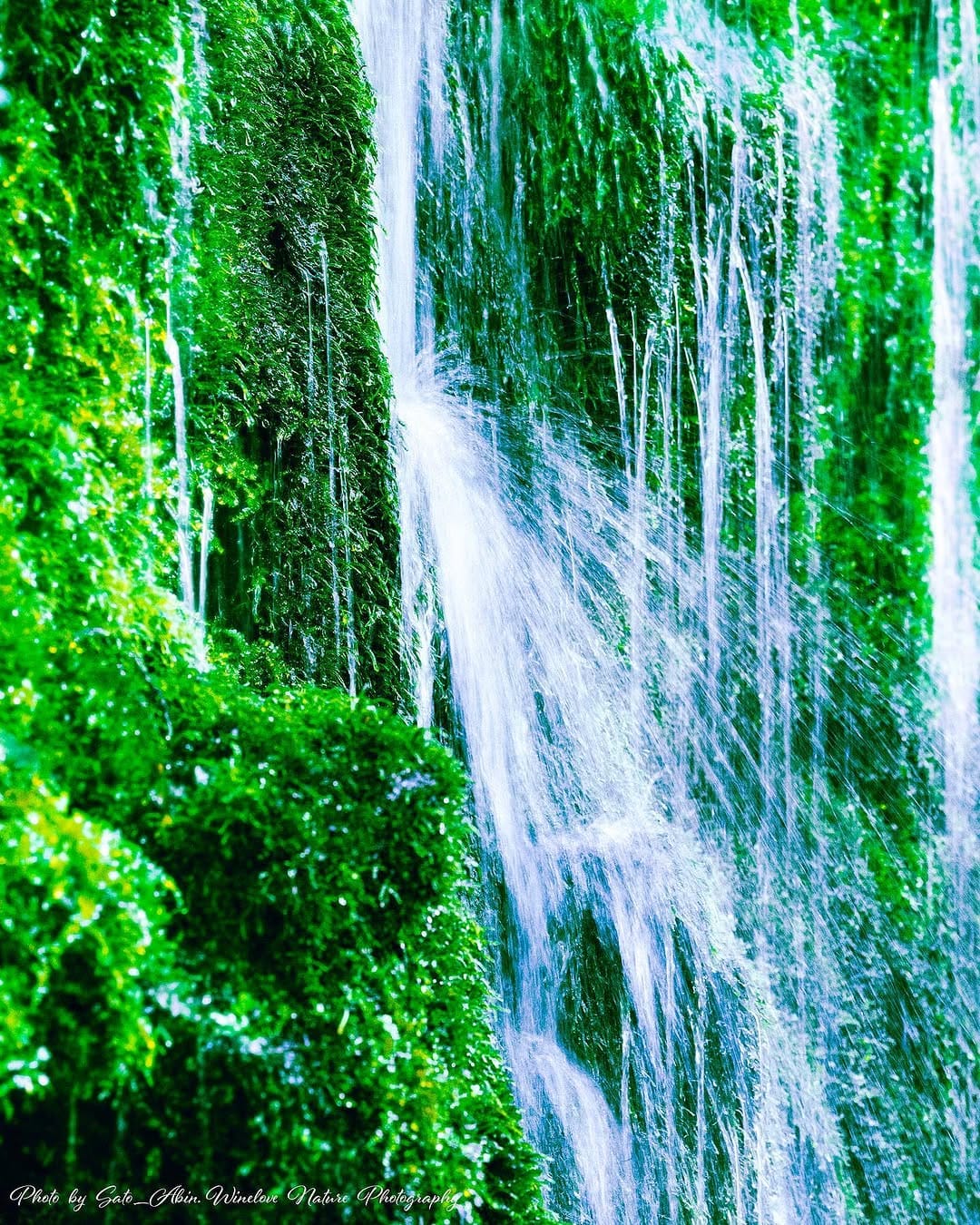 Post 2 by 𝔸𝔹𝕀ℕ 🇯🇵朴なる東北の人 on Instagram (image)