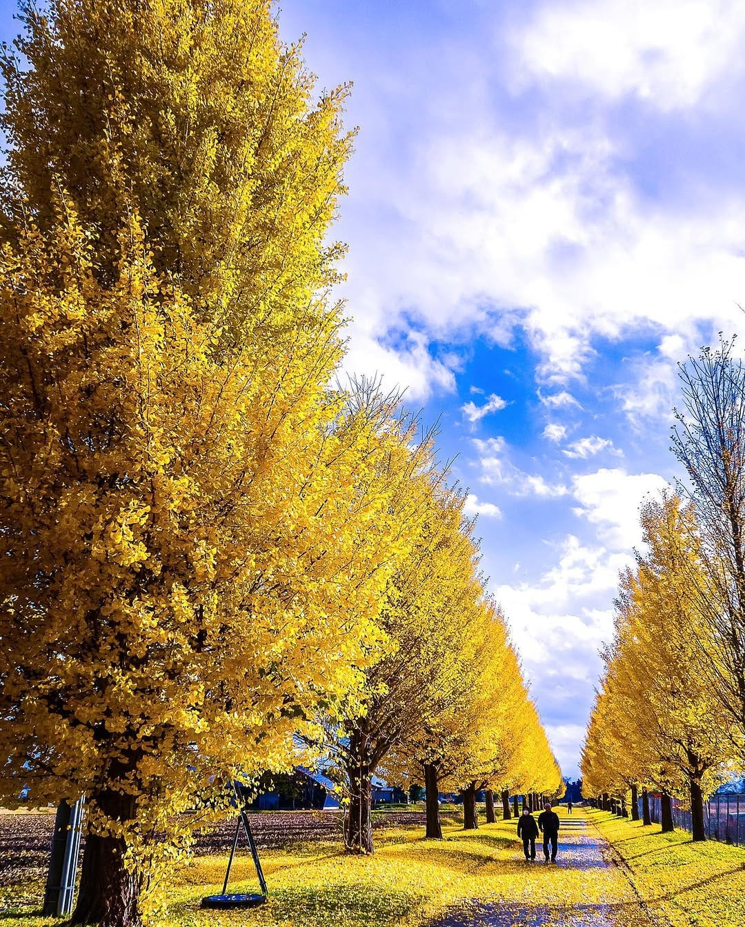 Post 8 by 𝔸𝔹𝕀ℕ 🇯🇵朴なる東北の人 on Instagram (image)
