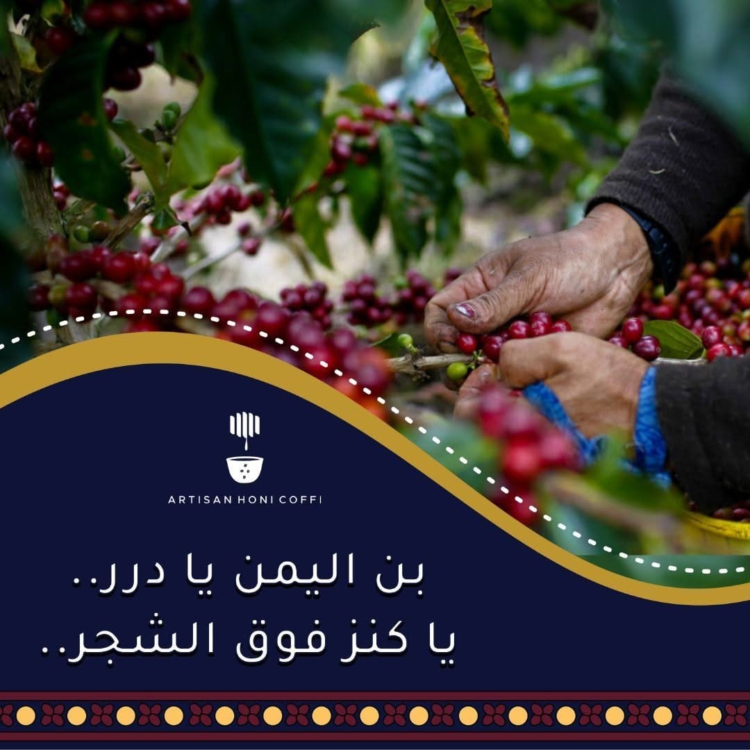 Post 10 by Honey | Haraaz Coffee | UAE on Instagram (image)