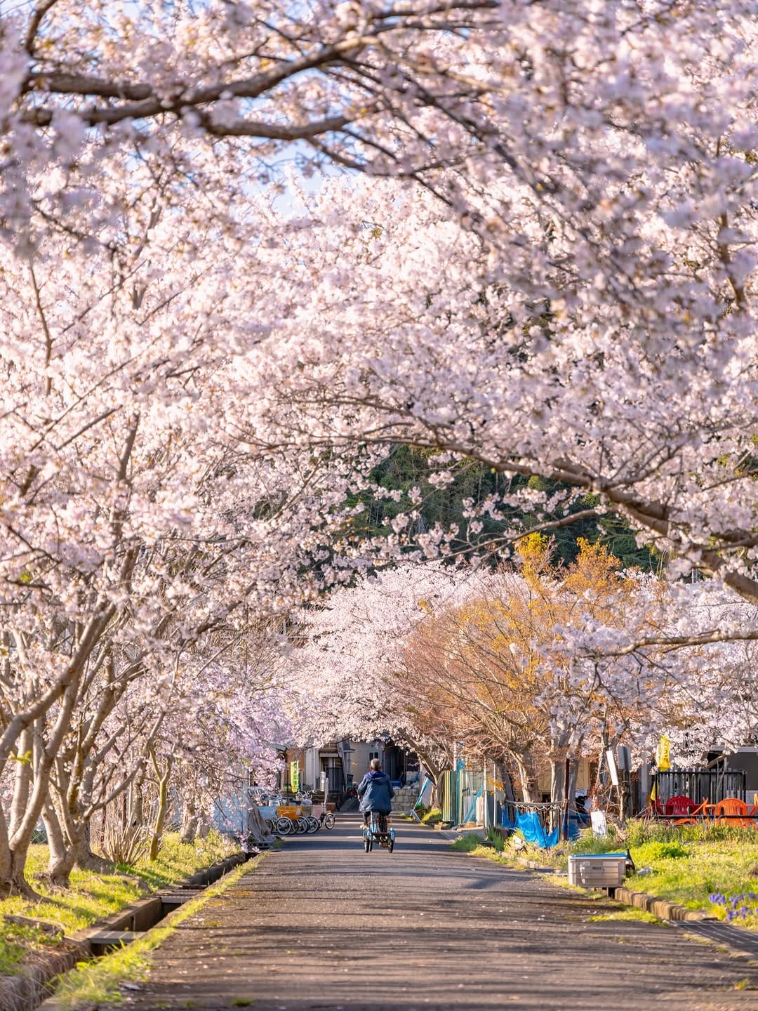Post 8 by masamichi on Instagram (image)