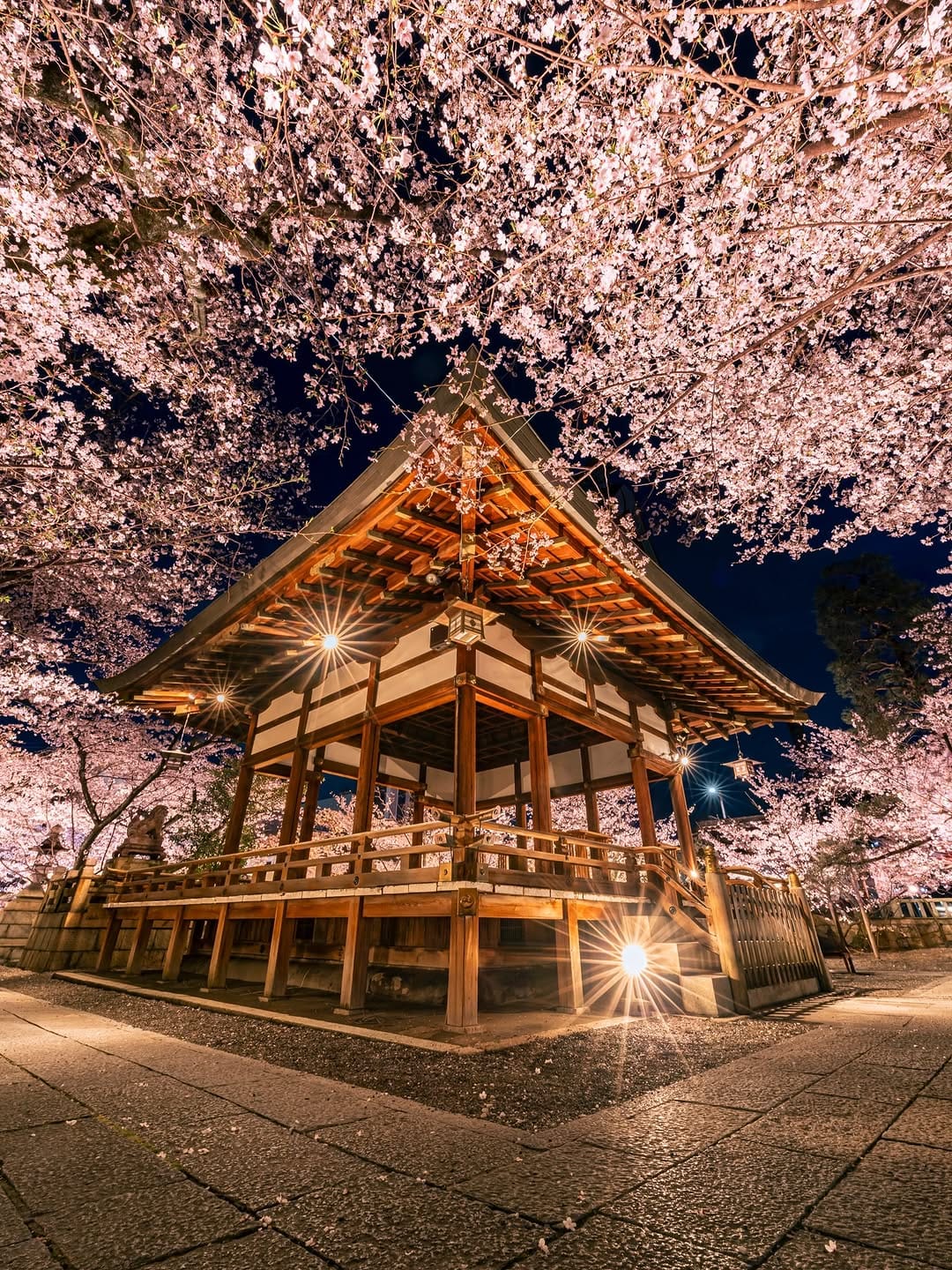 Post 10 by masamichi on Instagram (image)