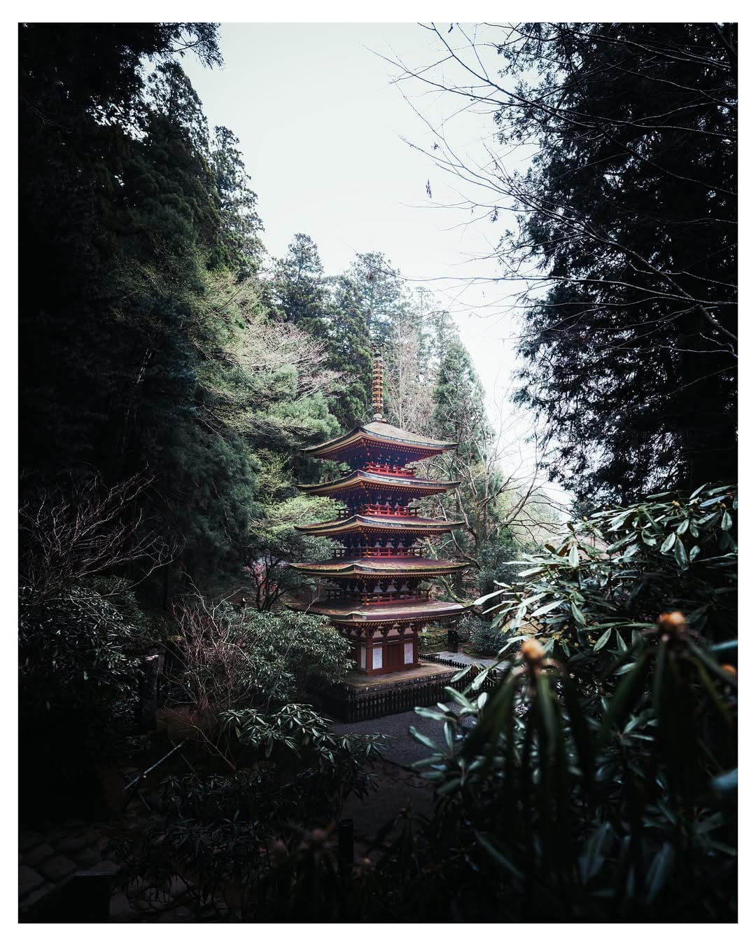 Post 7 by Yoshimichi ITO on Instagram (image)