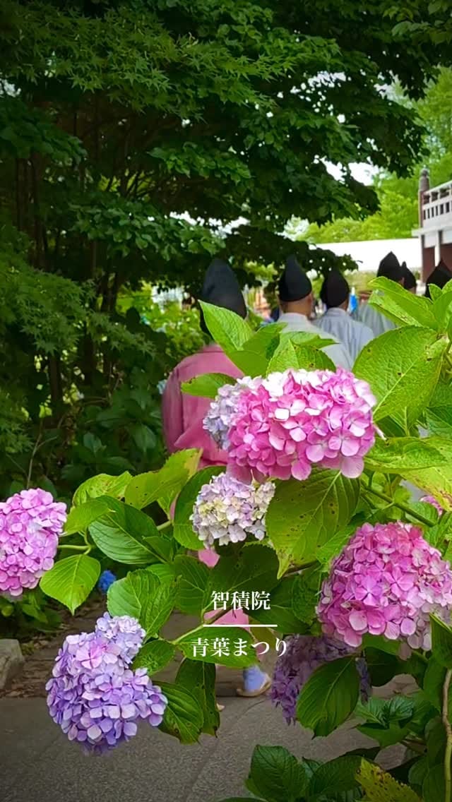 Post 6 by Taka (たか)  Kyoto on Instagram (video)