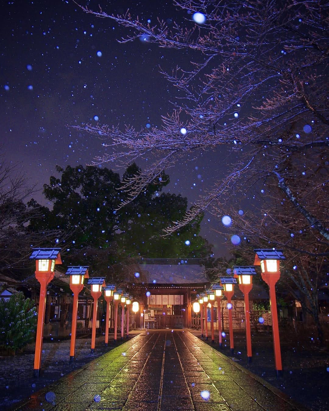 Post 8 by Taka (たか)  Kyoto on Instagram (image)