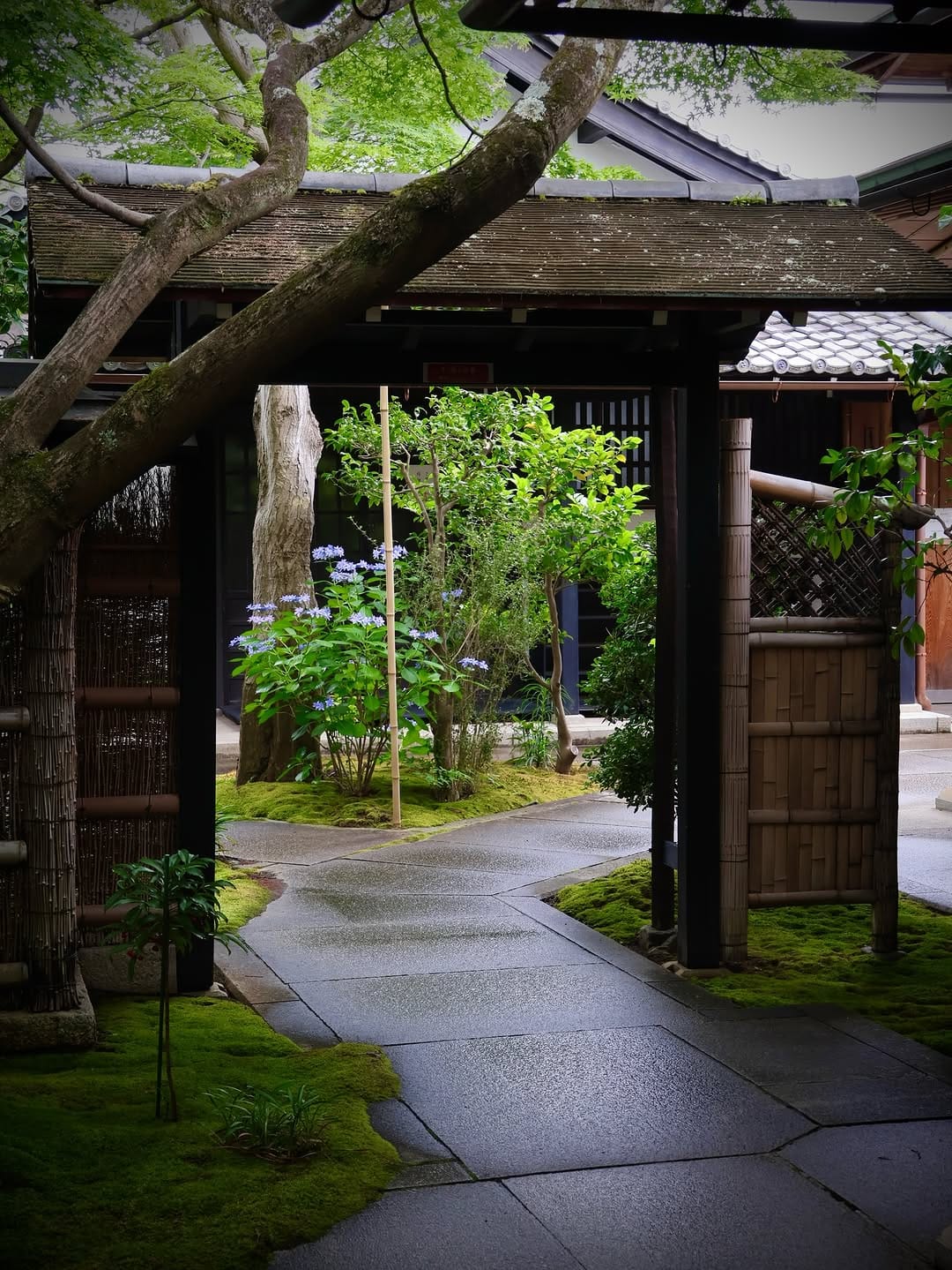 Post 3 by Taka (たか)  Kyoto on Instagram (carousel)