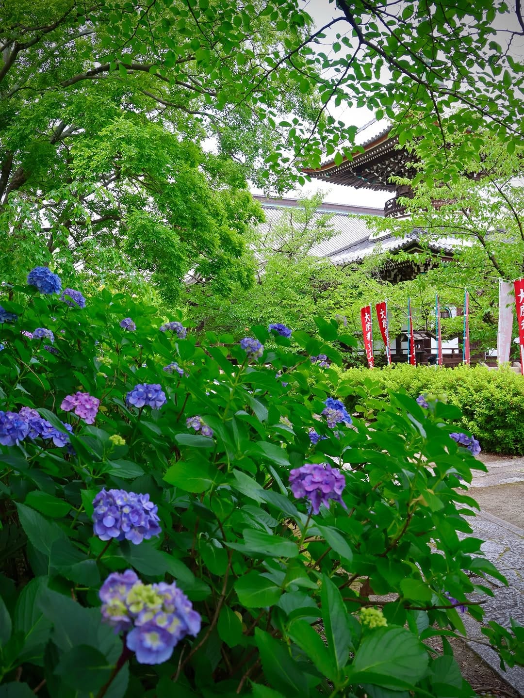 Post 5 by Taka (たか)  Kyoto on Instagram (carousel)