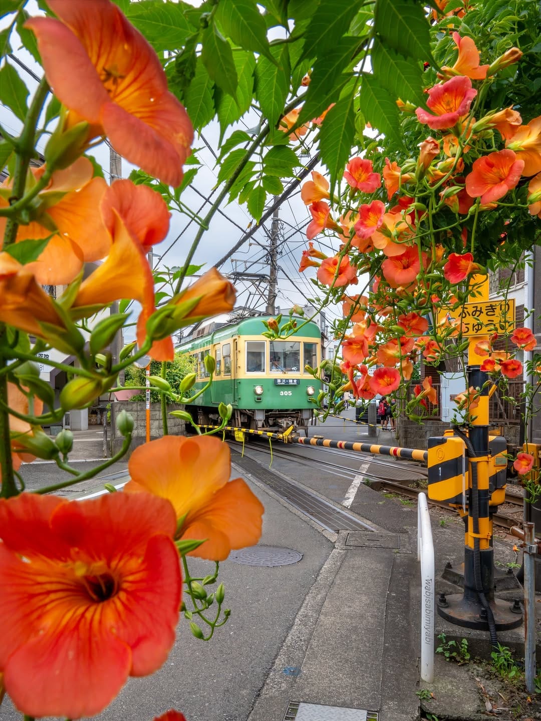 Post 3 by Tomoyuki from japan 🇯🇵 on Instagram (image)