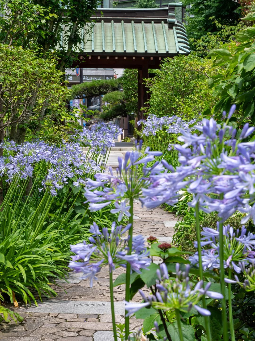 Post 4 by Tomoyuki from japan 🇯🇵 on Instagram (image)