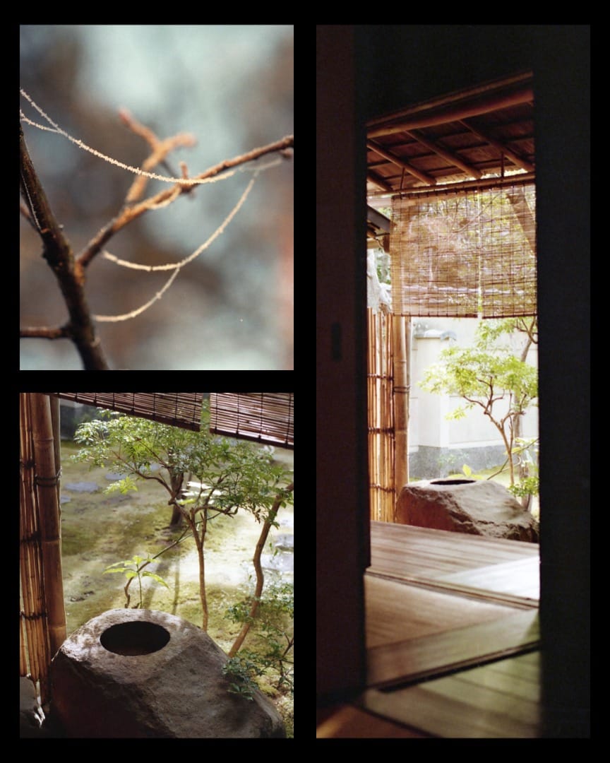 Post 1 by jan on Instagram (image)