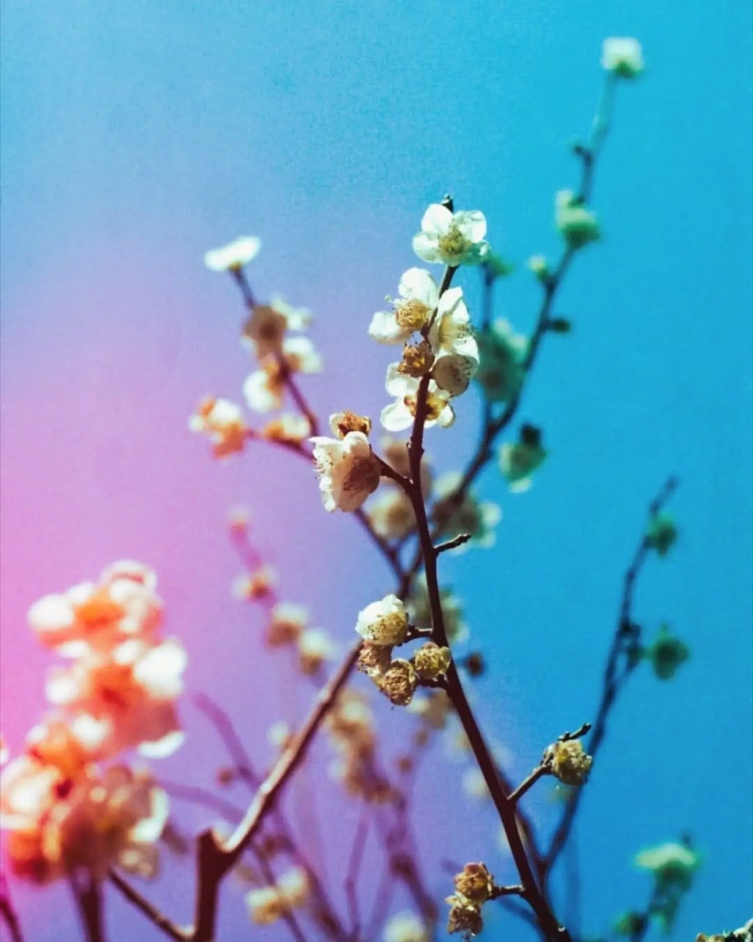 Post 2 by jan on Instagram (carousel)