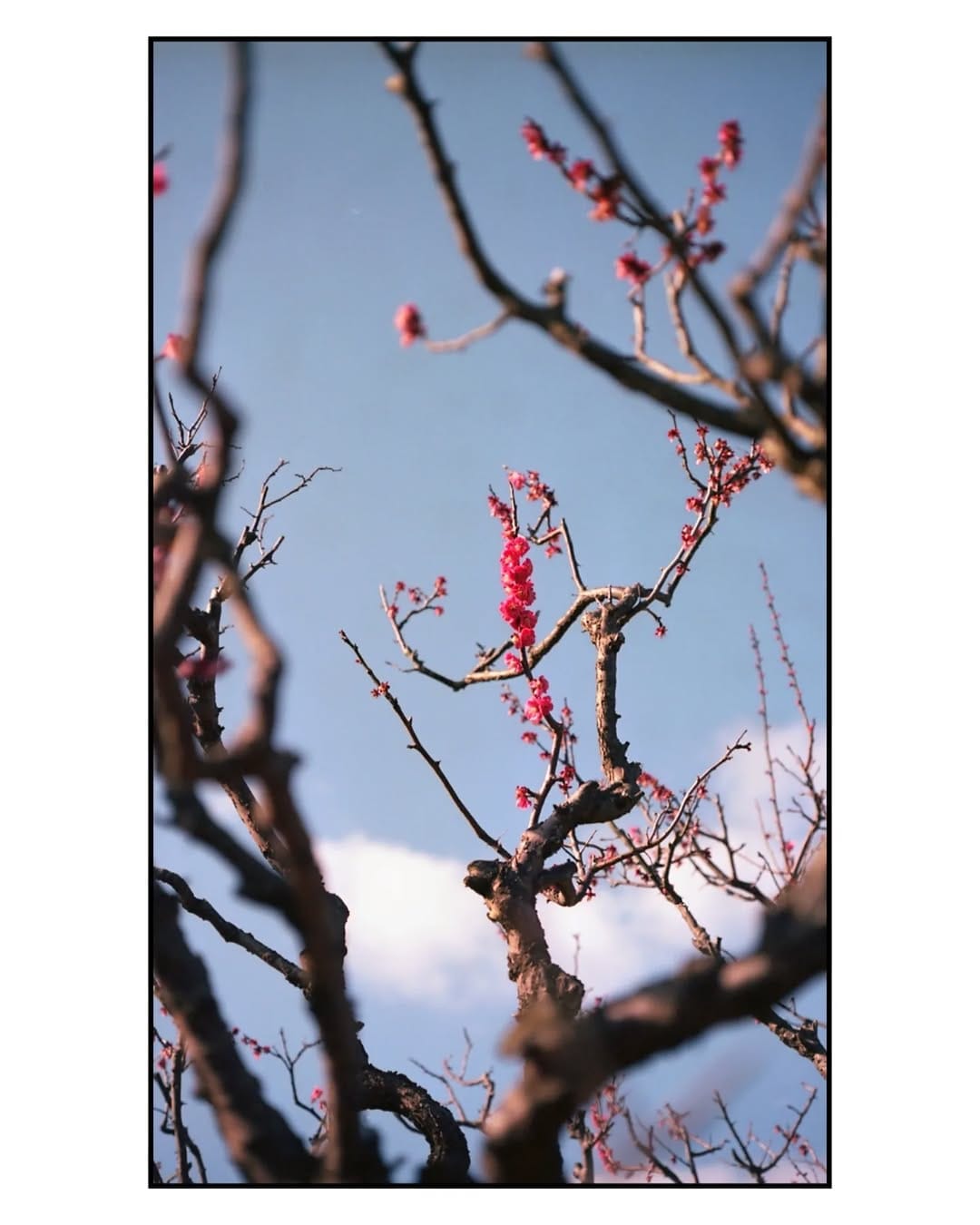 Post 5 by jan on Instagram (image)